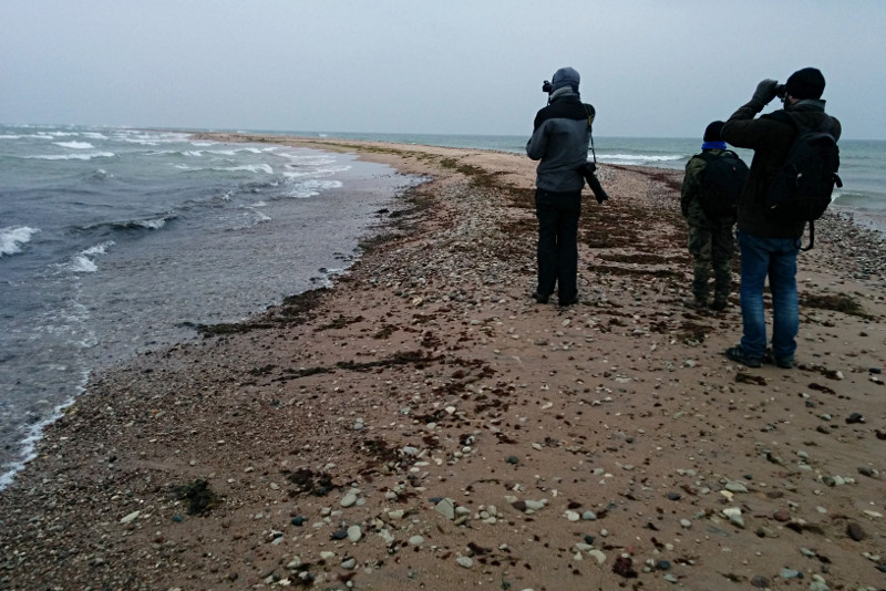 2015-11-01 4 (Helen Pikkat)