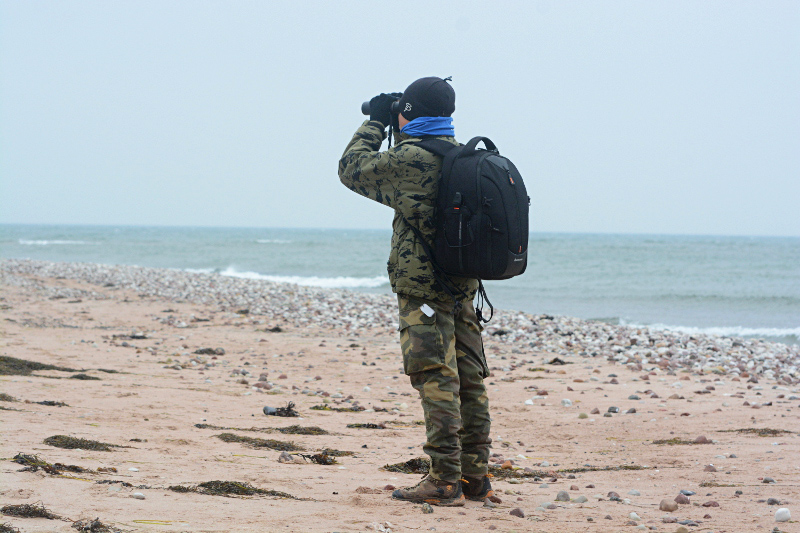 2015-11-01 5Ph (Tarvo Valker)