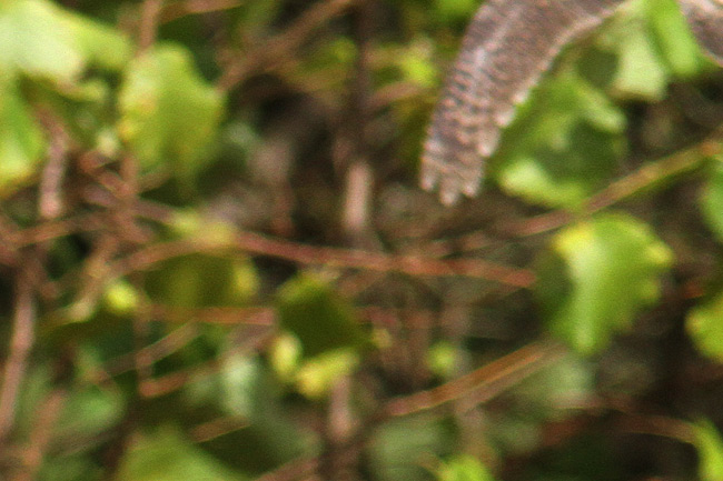 05-10-2013-A