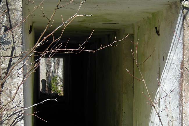 07-04-2007-1