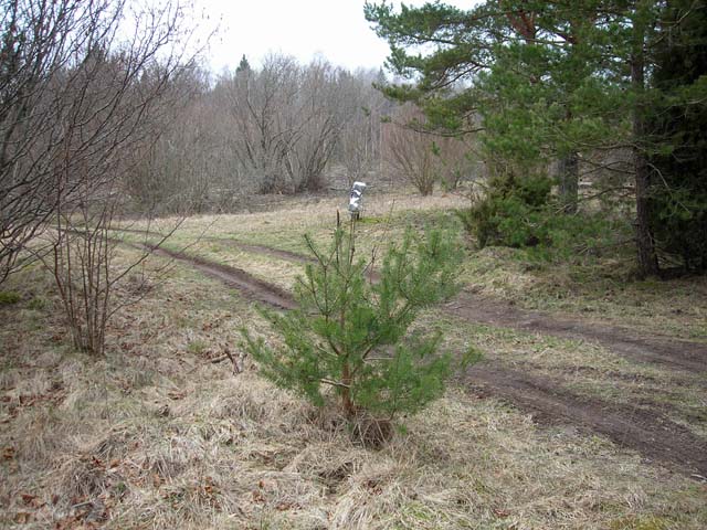 09-04-2007-2
