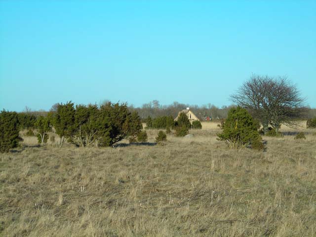 12-04-2007-1