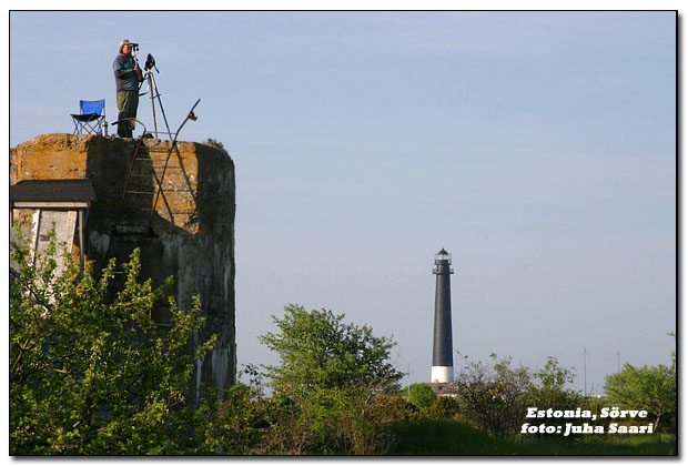 2003-06-08 1