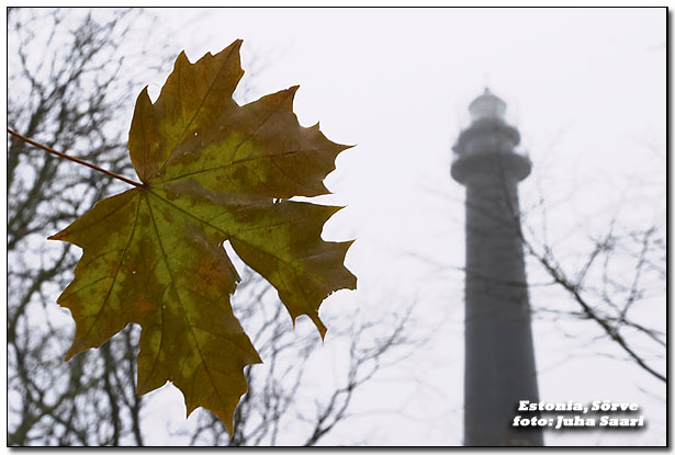 2003-11-08 3