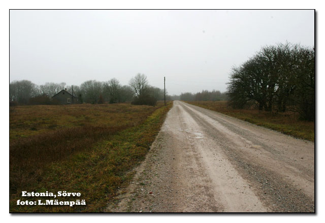 2003-11-22 3