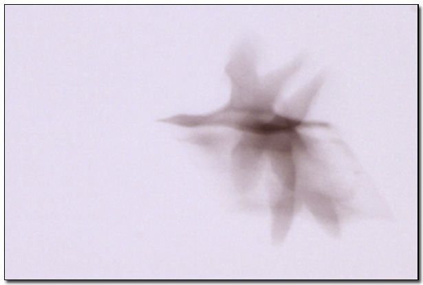 2003-12-15 3