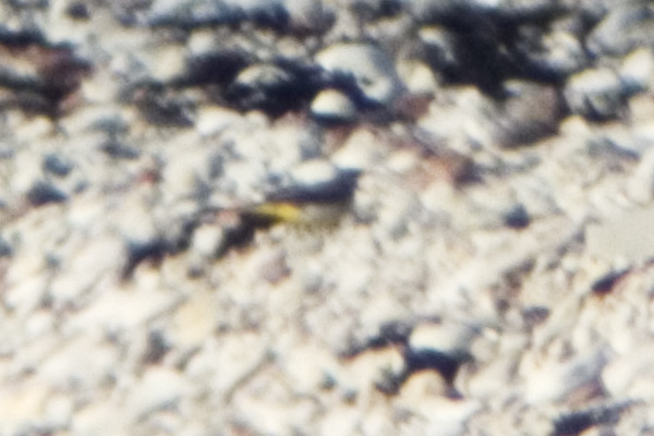 2004 7 16 2