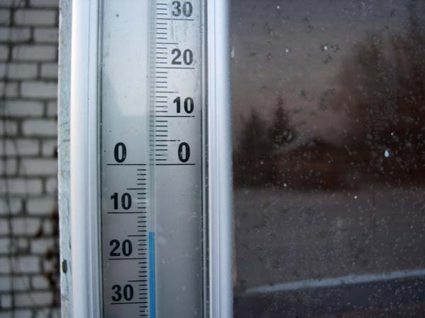 2006.02.04 1