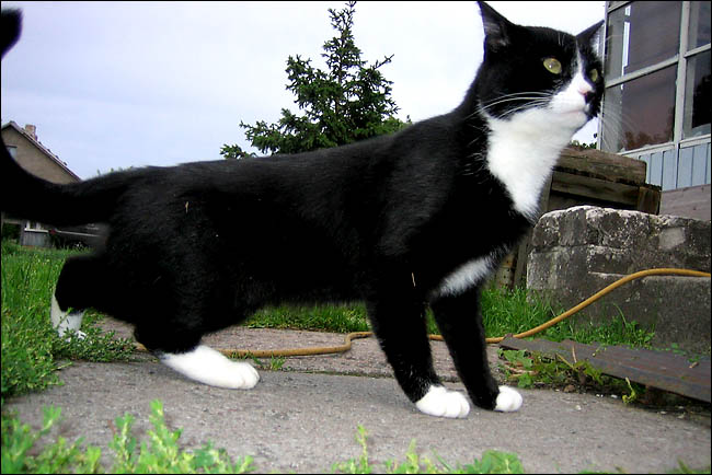2006 08 30 3