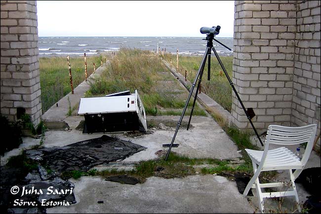 2006 08 31 1