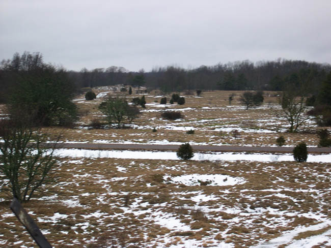 2007-03-02 1