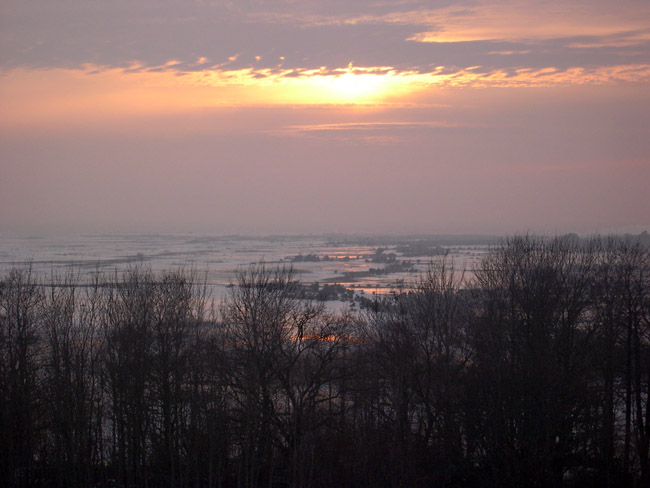 2007-03-08 2