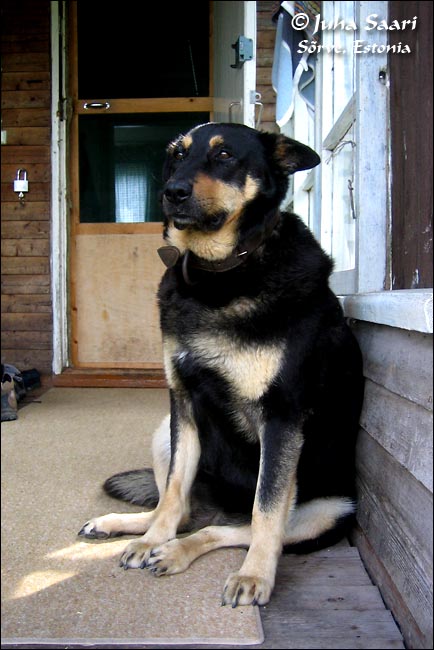 2007 06 14 3