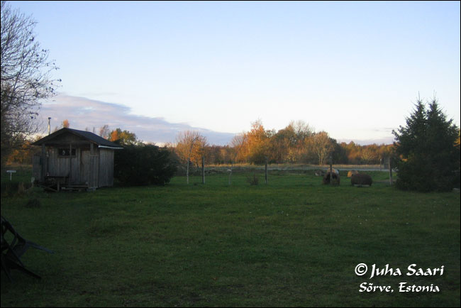 2007 10 22 1