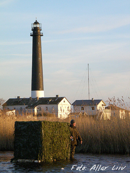 2008-05 06 7