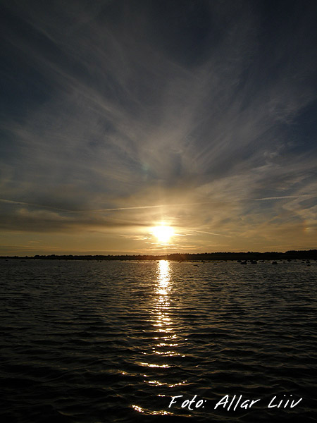 2008-05 06 8