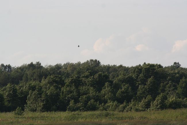 2008-07-22-Halalb1