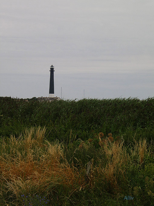 2008-08-02 6