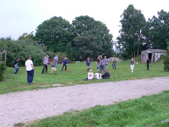 2008-08-27Peli