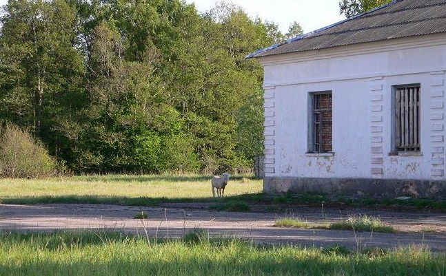 2009-06-02-02Aa