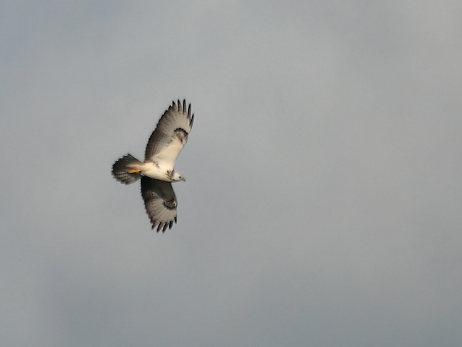 2009-08-23 3 (Karl)