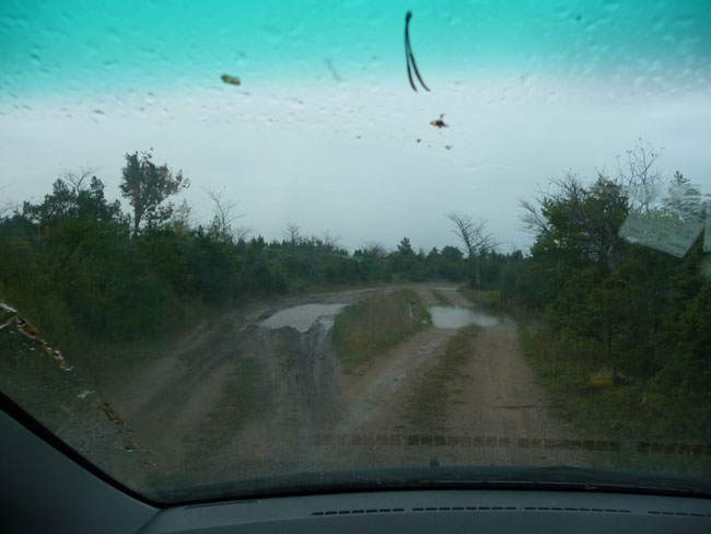 2009-10-12-Kuva03