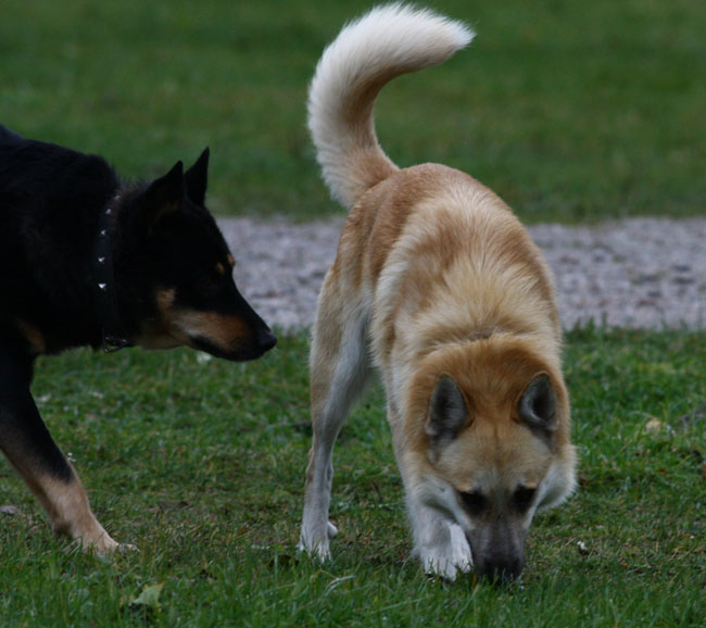2009-10-12-Kuva06