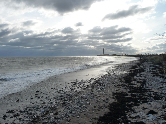 2009-10-14-Kuva03