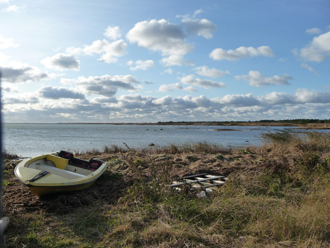 2009-10-14-Kuva04