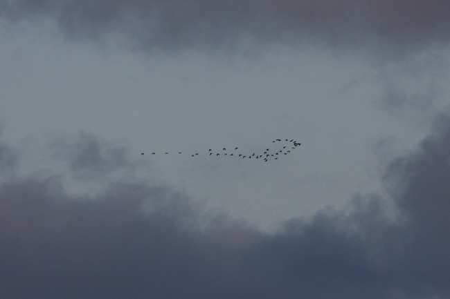 2009-10-15Kuva04