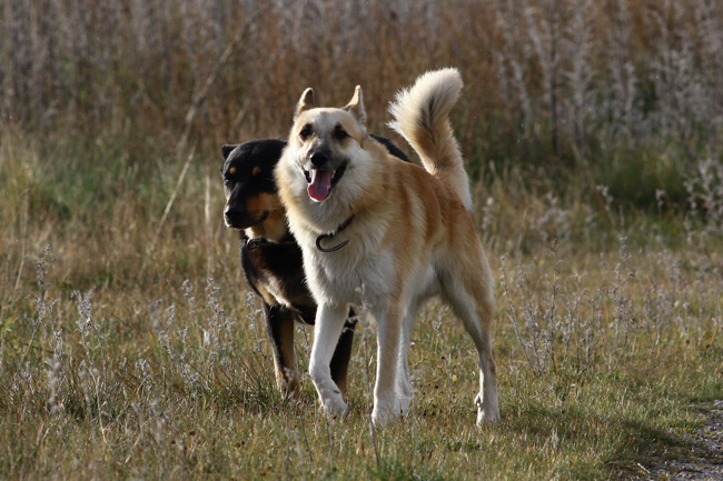 2009-10-15Kuva06