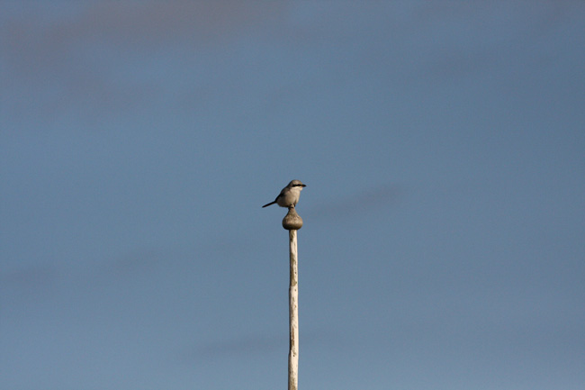 2009-10-16-Kuva03