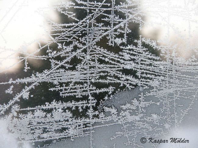 2010-01-01 2F