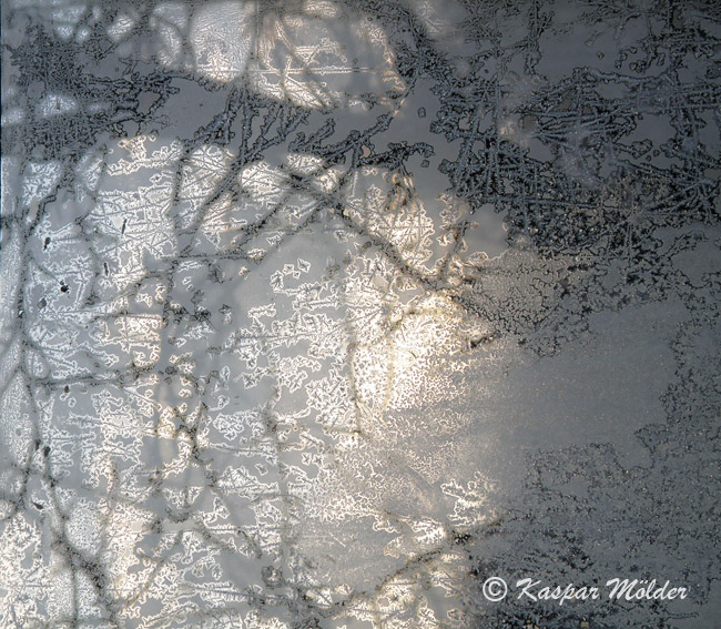 2010-01-01 3F
