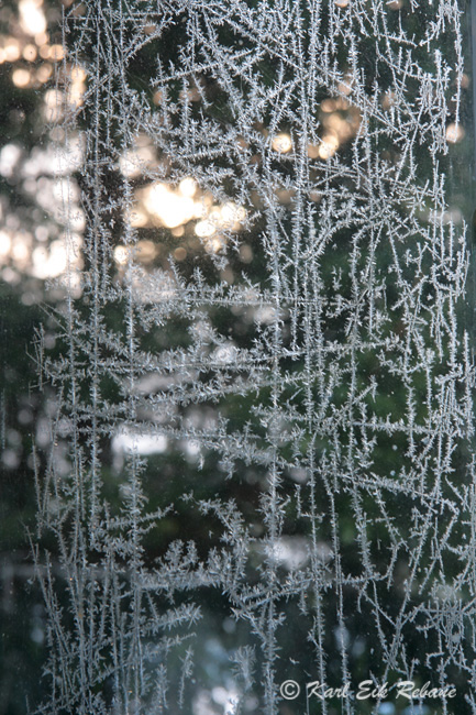 2010-01-01 5