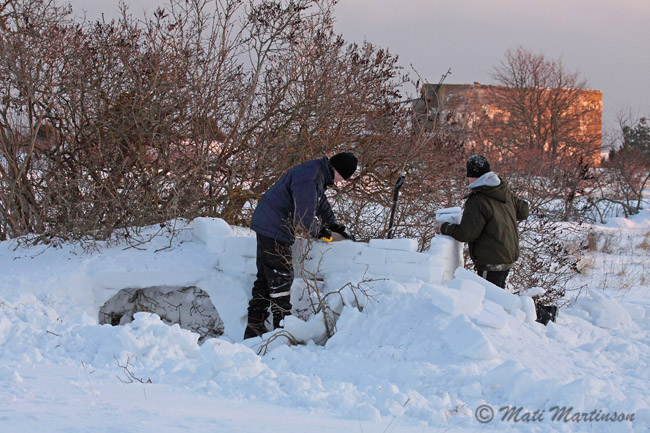 2010-01-02 3F