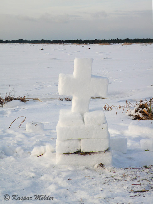 2010-01-03 1F