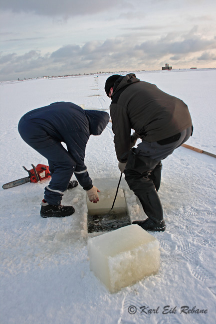 2010-01-03 2F