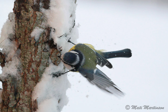 2010-01-05 2F