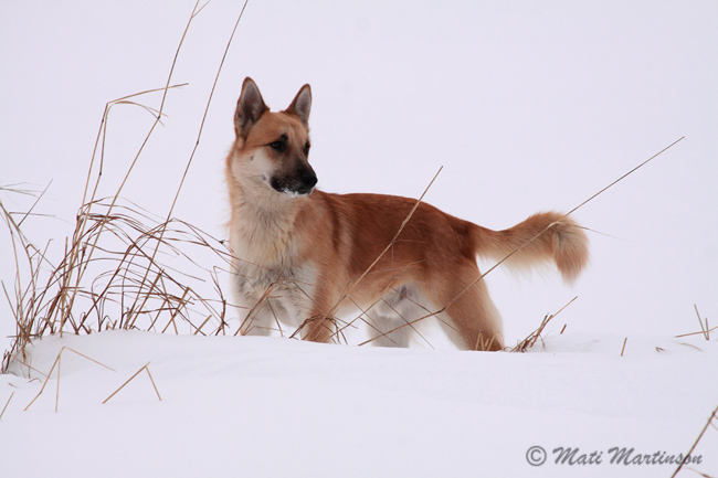 2010-01-06 1Fa