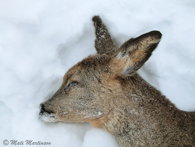 2010-01-10 1Fa