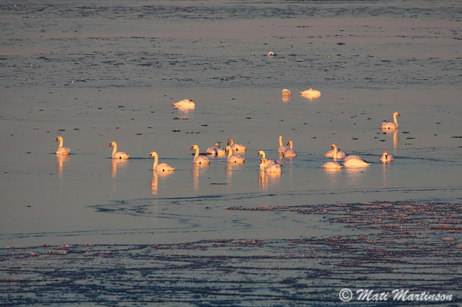 2010-01-12 4F