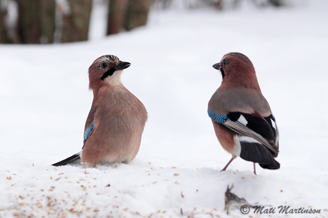2010-01-30 6Fa