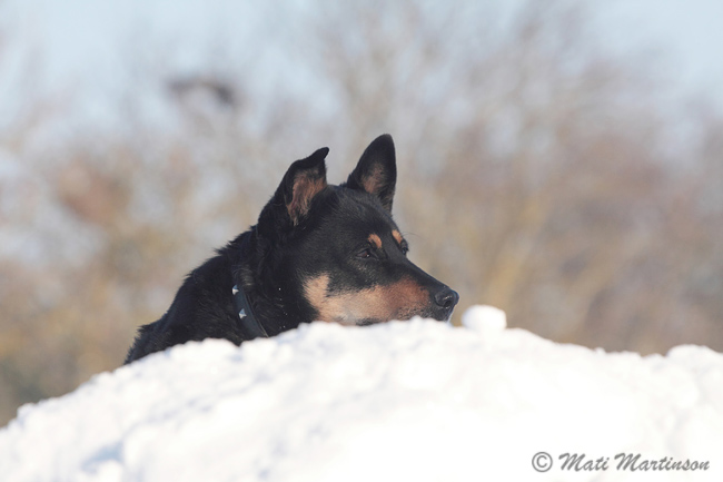 2010-02-05 11Fa