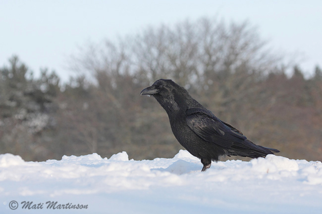 2010-02-14 3Fa