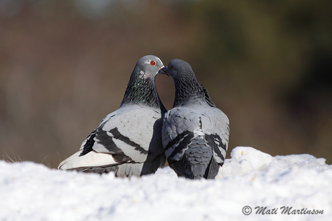2010-03-06 2F