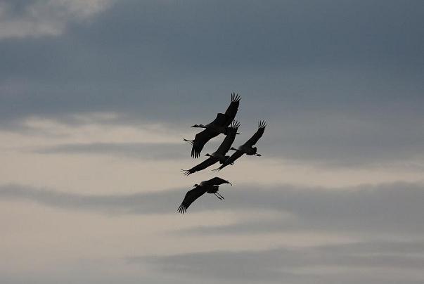 2010-05-15Kuva03
