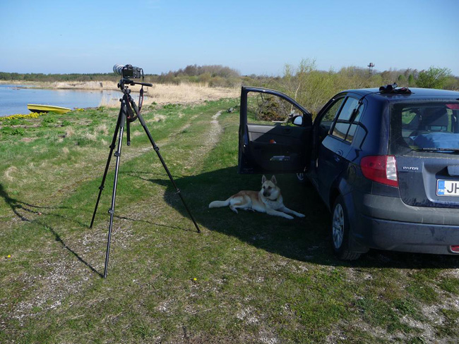 2010-05-17- Kuva01