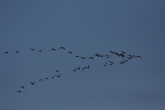 2010-05-17-Kuva02