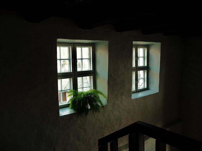 2010-05-17-Kuva06